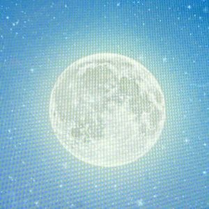 HUGE PRICE DROP ON ALL ITEMS